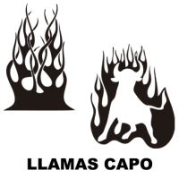 vinilos-llamas-capo