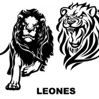 Leones