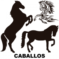 caballos-vinilos-decorativos-pegatinas