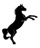 pegatinas y vinilos decorativos caballo sobre dos patas