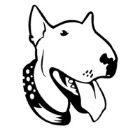 bull-terrier-05