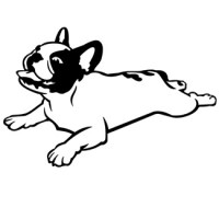 bulldog-frances-02