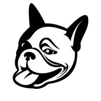 bulldog-frances-03