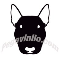 bullterrier