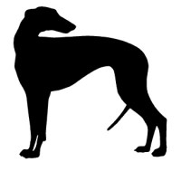 galgo02