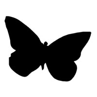 mariposa-01